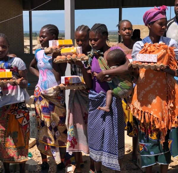 case de sucesso criança feliz angola projeto casa nutri projeto social na Africa
